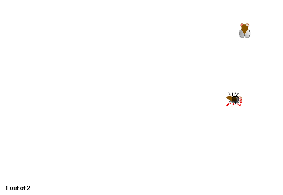 Fly Swatter 2.0 gameplay